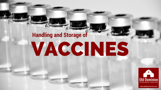 Proper Vaccine Handling and Storage