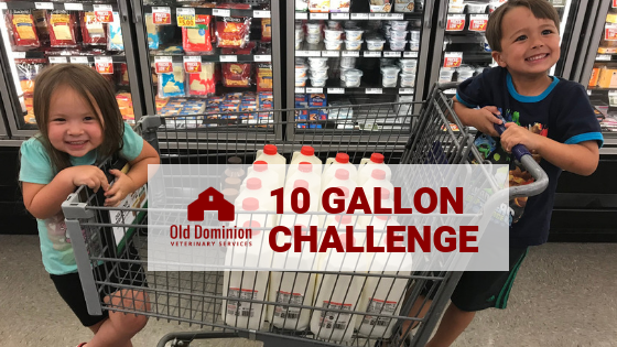 #10GallonChallenge Supports Dairy Farms and Food Banks