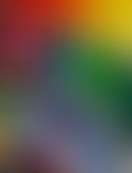 How to Choose the Right Material for Large and Wide Format Printing (Indoor vs Outdoor)