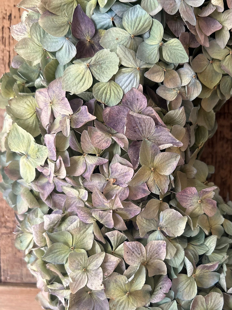 Thumbnail: Dried Hydrangea Wreath 