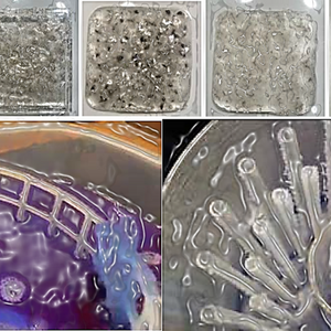 Waste to Wonder: Crafting Eco-Friendly Building Materials from Fish Byproducts

Scales to Piezoelectric Facade | Scales t Solar Facade

Research of fish waste management and experimenting different fish byproducts to explore the possibilities of energy generating
and storing facade

Vertiflow: Capillary & Pump Based Aquaponic Farm Structure

Researching vertical water circulation systems and exploring the integration of capillary action
and mechanical pumping to develop sustainable, energy-efficient architectural structures.