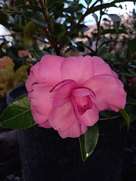 20231010_105052.jpg