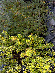 20231010_093904 (1).jpg