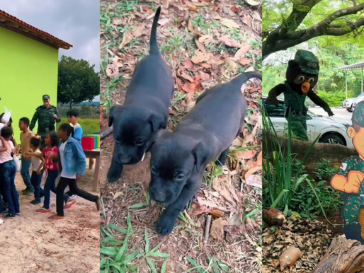 Polícia Militar de Meio Ambiente realizará Ação Cívico-Social em Itabirito no dia 1º de novembro