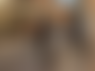 Polícia Civil faz operação em Nova Lima, prende dois e resgata cão vítima de maus-tratos