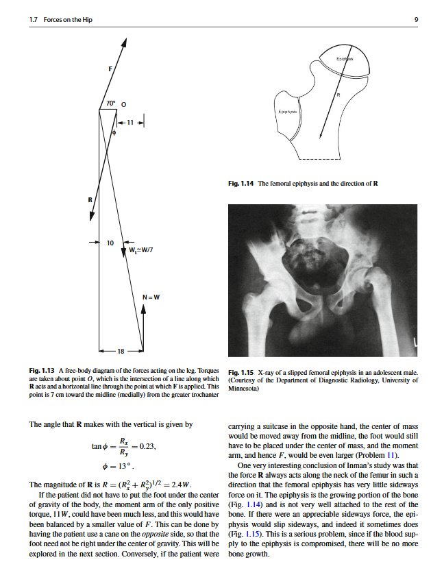 Thumbnail: Intermediate Physics for Medicine and Biology 5th Edition by Russell K. Hobbie