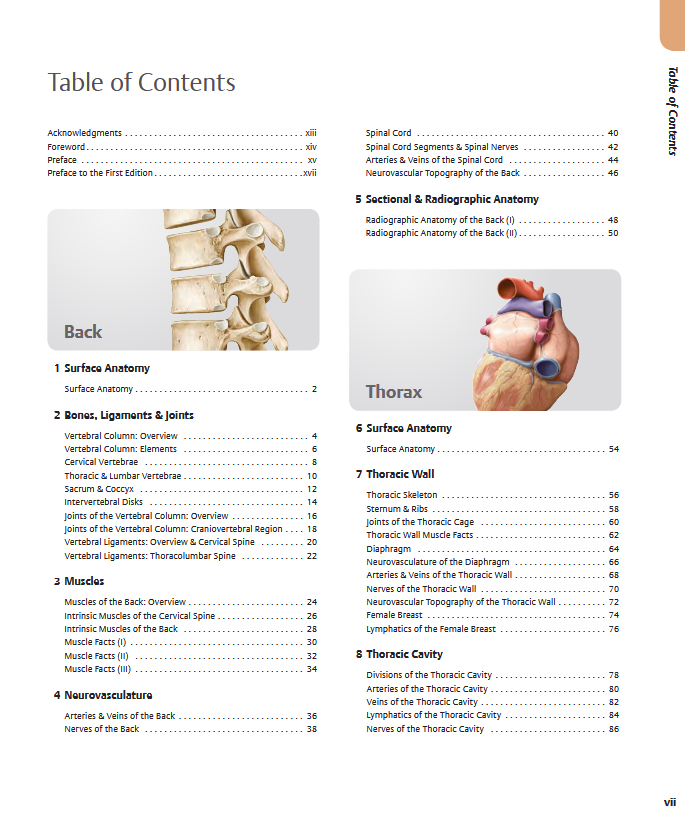 Thumbnail: Atlas of Anatomy 4th Edition