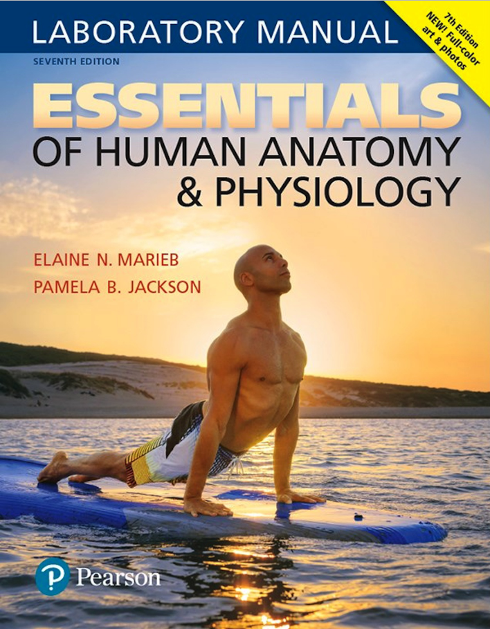 Essentials of Human Anatomy & Physiology Laboratory Manual 7th Edition