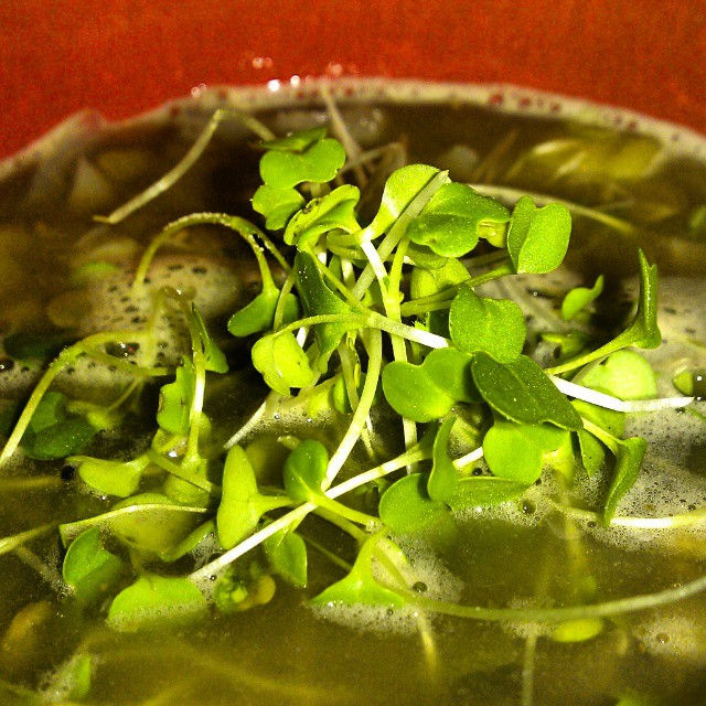 Biossential Greens