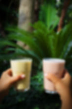 Smoothie proteíco