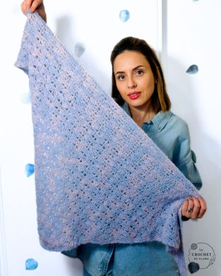 ✨ Tutoriel crochet facile pour faire un châle au crochet.

🧶 Niveau : Facile

🪢 Fils conseillés : Héloïse des fibres de la Renarde

🎥 Vidéo patron crochet gratuit + 📄 Fiche PDF crochet "Boutique en ligne"