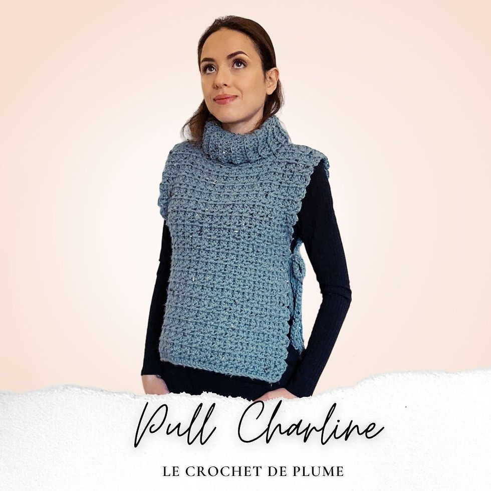 Pull Nemo Noir Taille S – Manches Ajourées Façon Crochet – Très Bon état
