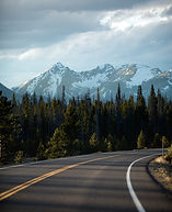 Forest Road_edited_edited.jpg