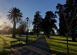 Green Park_edited.jpg