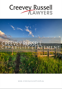 Legal Firm Capability Statement