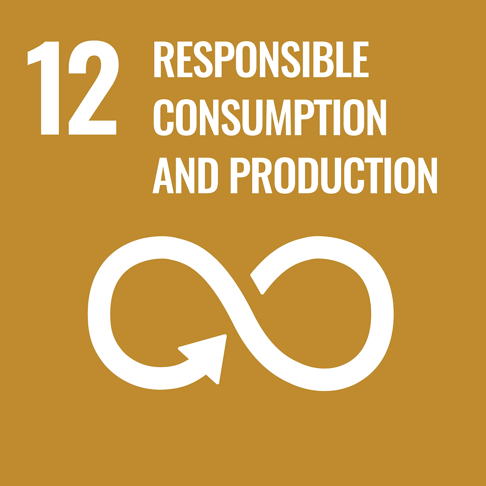 Sustainable Development Goal 12 Responsible consumption and production