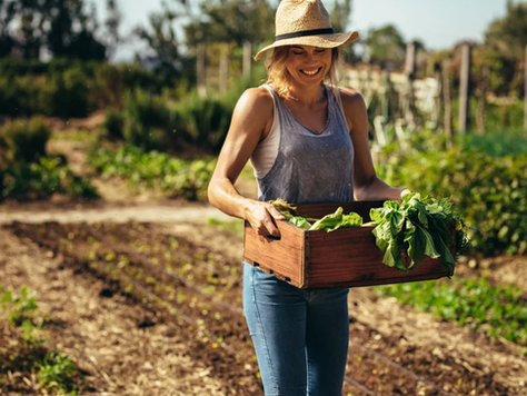 Jardinage : 4 bons gestes à adopter pour éviter de se faire mal au dos ou aux genoux