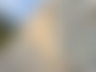 Des plastiques non recyclables convertis en briques de construction ultrarésistantes