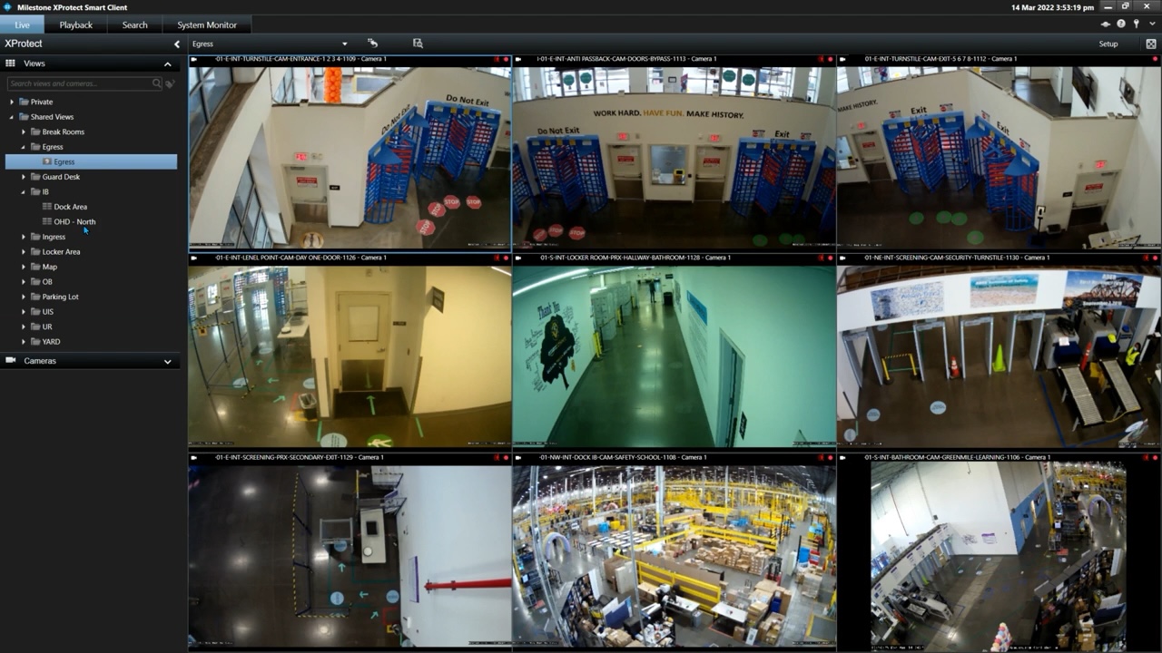 Screenshot of video camera monitoring system