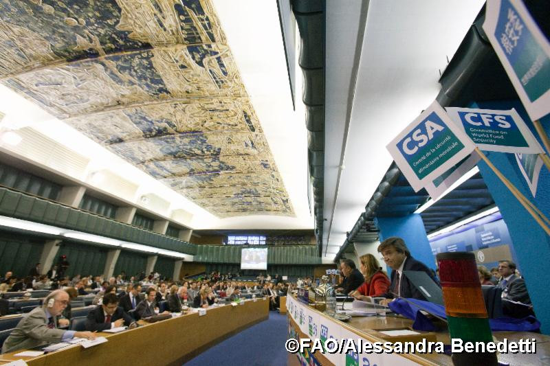 Plenary hall during CFS on the first year after its Reform.