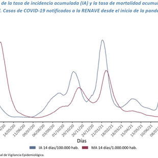 La infravaloración de las vacunas