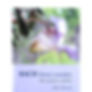 書籍 : The Essence Within