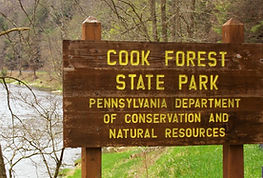 Cook Forest State PArk