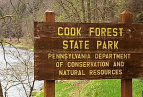 Cook Forest State PArk