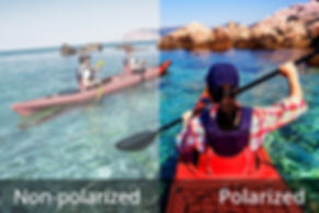 Polarized lenses