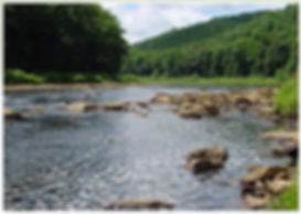 Clarion River at Summer low water flow.