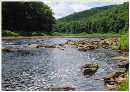 Clarion River at Summer low water flow.