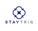 StayTrig_edited.png