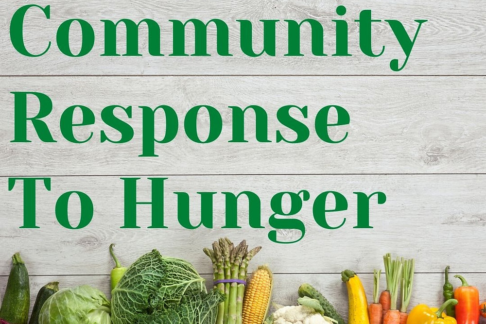 Monthly Bag Lunch and Food Collection for Homeless Shelters