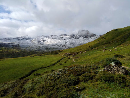 One hike, four seasons