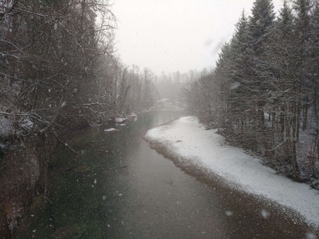A Winter hike along the river Thur