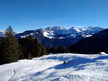 A Christmas Hike to Lake Obersee