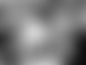 Celebrate Our Champions Lunch