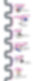 5594176_Mesa de trabajo 1.png