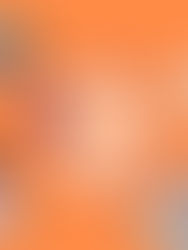 Vide Ton Sac Charte Graphique