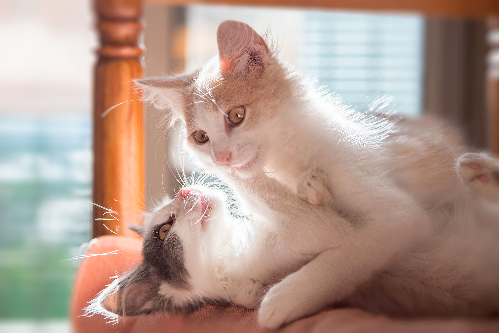 Theo & Leyan