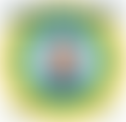 MAROUANE JOUNDI - PERSPECTIVES FROM COP27