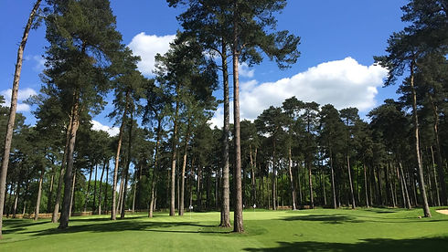 image-of-shortgame-area-dg-feb-2019-21.jpg