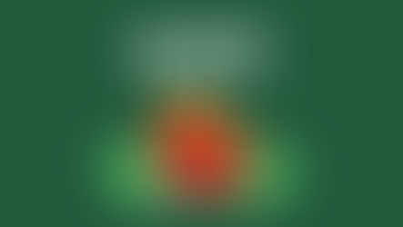 Buriti 2 - Por que contratar uma consultoria?