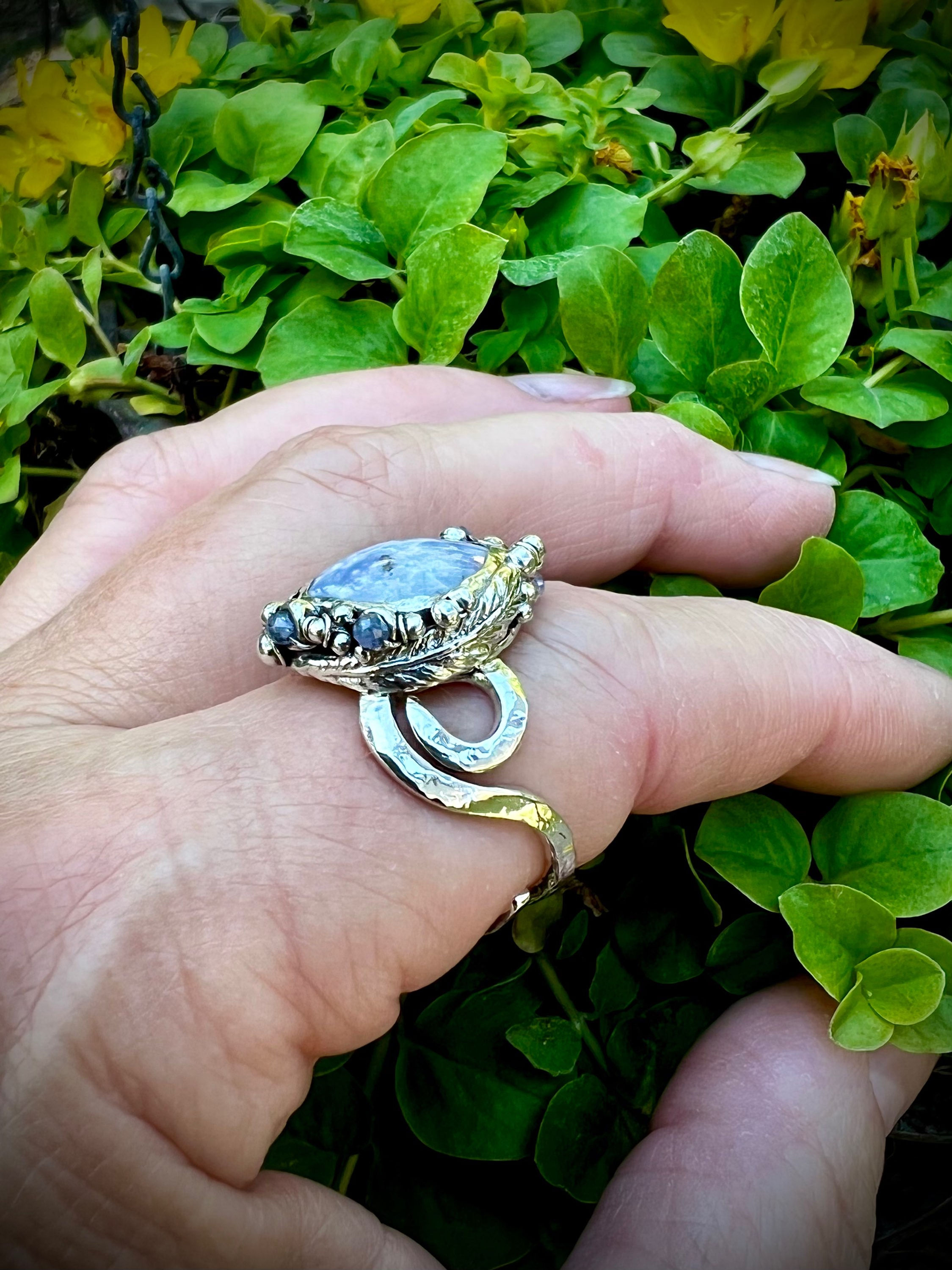 Forged and Handmade Elvin Silver Sponge Agate and Tanzinite Adjustable Ring