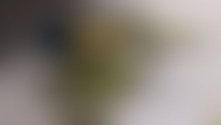 Alternative processing: Cyanotypes