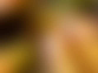 Close up Photography