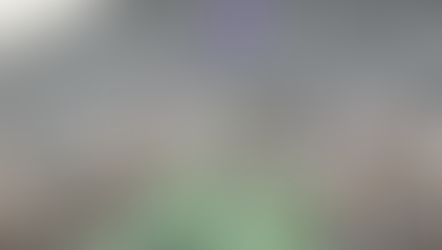 ラベンダーが咲きました