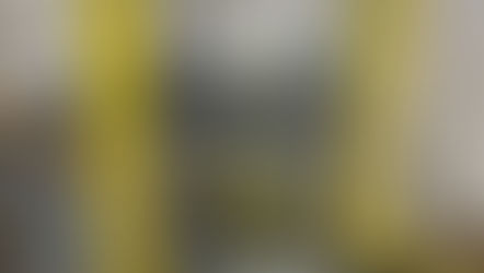 本堂改装 5月27日