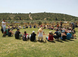 שיווק במדיה חברתית