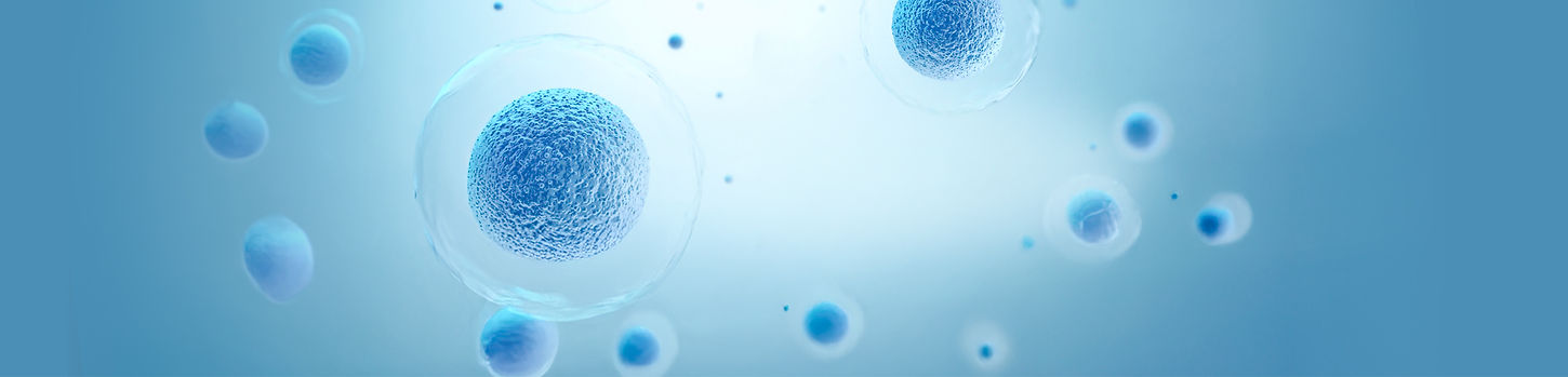 banner desktop Skingenuity hair.jpg